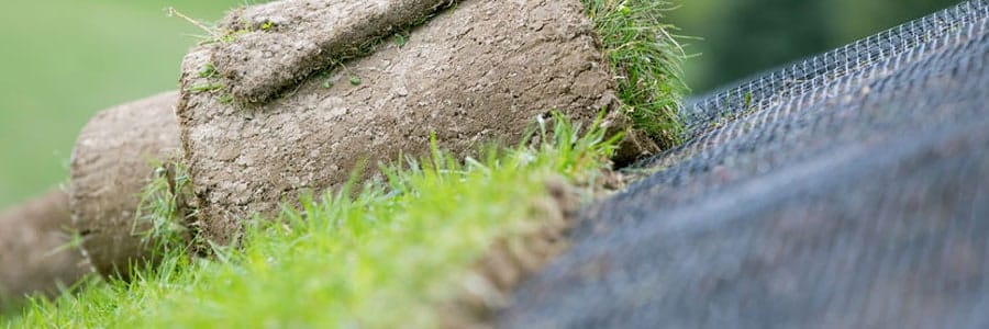 #7 BMP Series: Grassed/Vegetated Channels