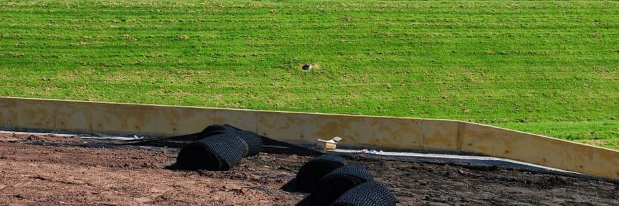 #2 BMP Series: Preserving Existing Vegetation