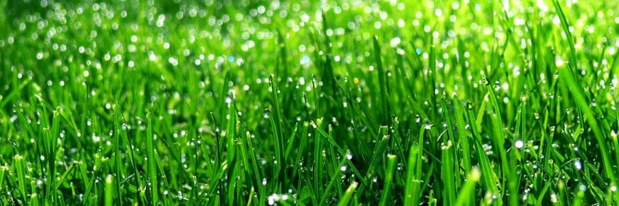 Benefits of Hydroseeding for Proper Erosion Control