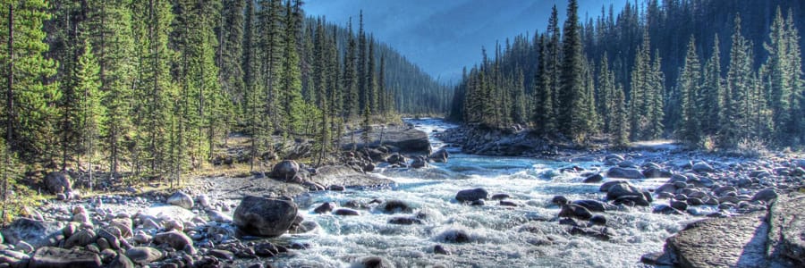 Provincial and Federal Regulations in Calgary