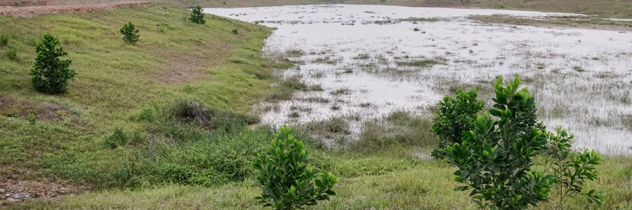 #23 BMP Series: Sediment Traps & Basins