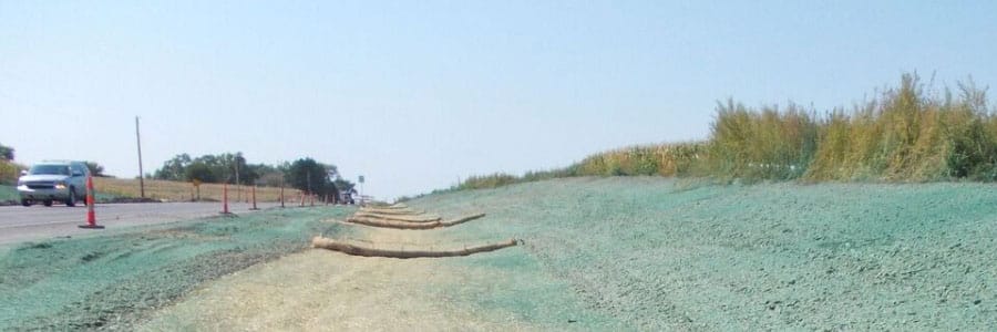 #21 BMP Series: Live Staking, Brush Layering, and Fascines