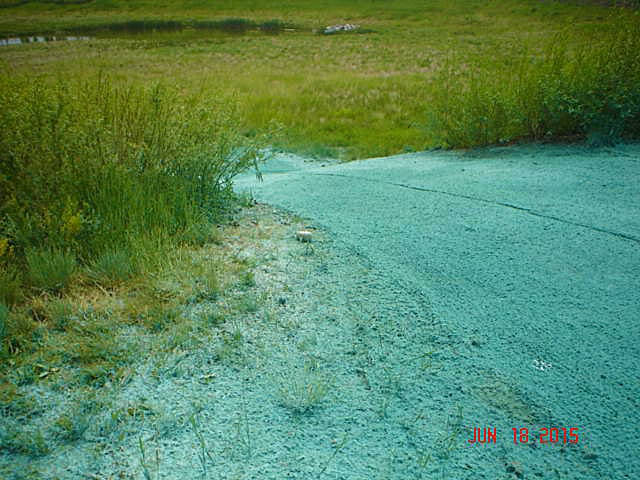 Hydroseeding applied for soil stabilization on an AESC site